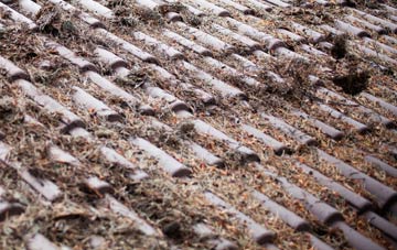 Smithy Gate roof cleaning companies